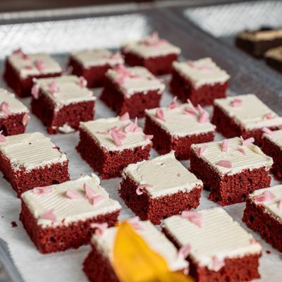 A tray filled with neat rows of square-cut red velvet cake bites.