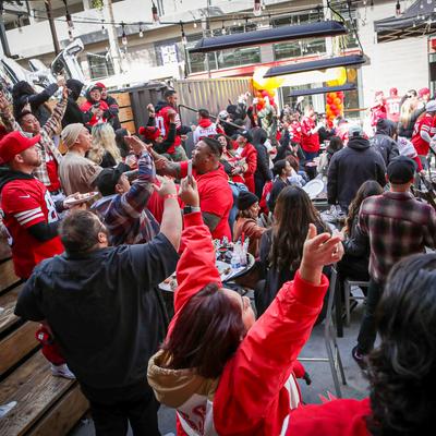 People cheering for sports game.