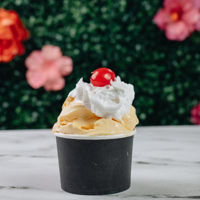 gallery photo number 14