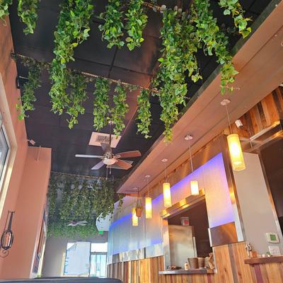 Interior, hanging plants.