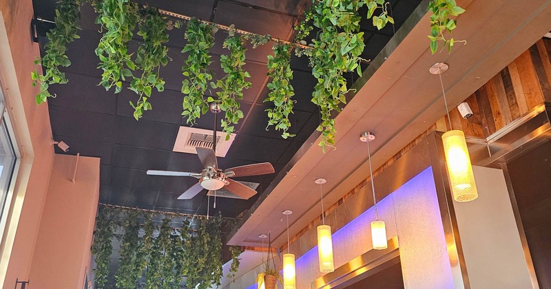 Interior, hanging plants