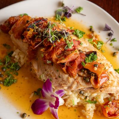 Red snapper, closeup.