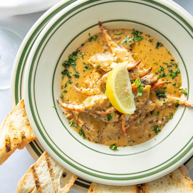 Crab Fingers Camellia photo