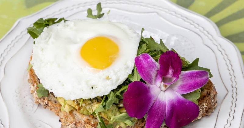 Avocado toast with a sunny side up egg and arugula, purple orchid garnish