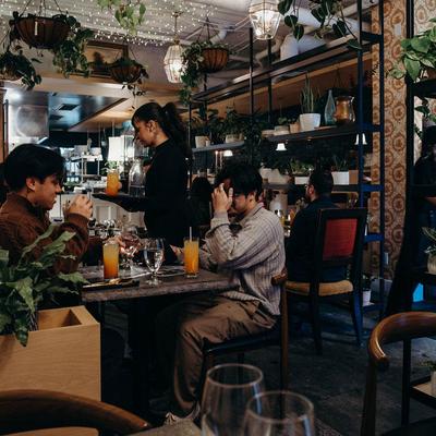 Guests enjoying drinks surrounded by lush plants.