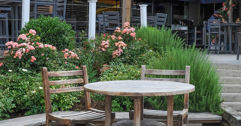 Exterior, patio, round wooden table by a spot with greenery