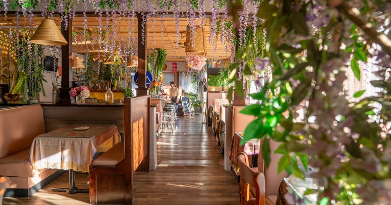 Interior, diner rooms, view under plant