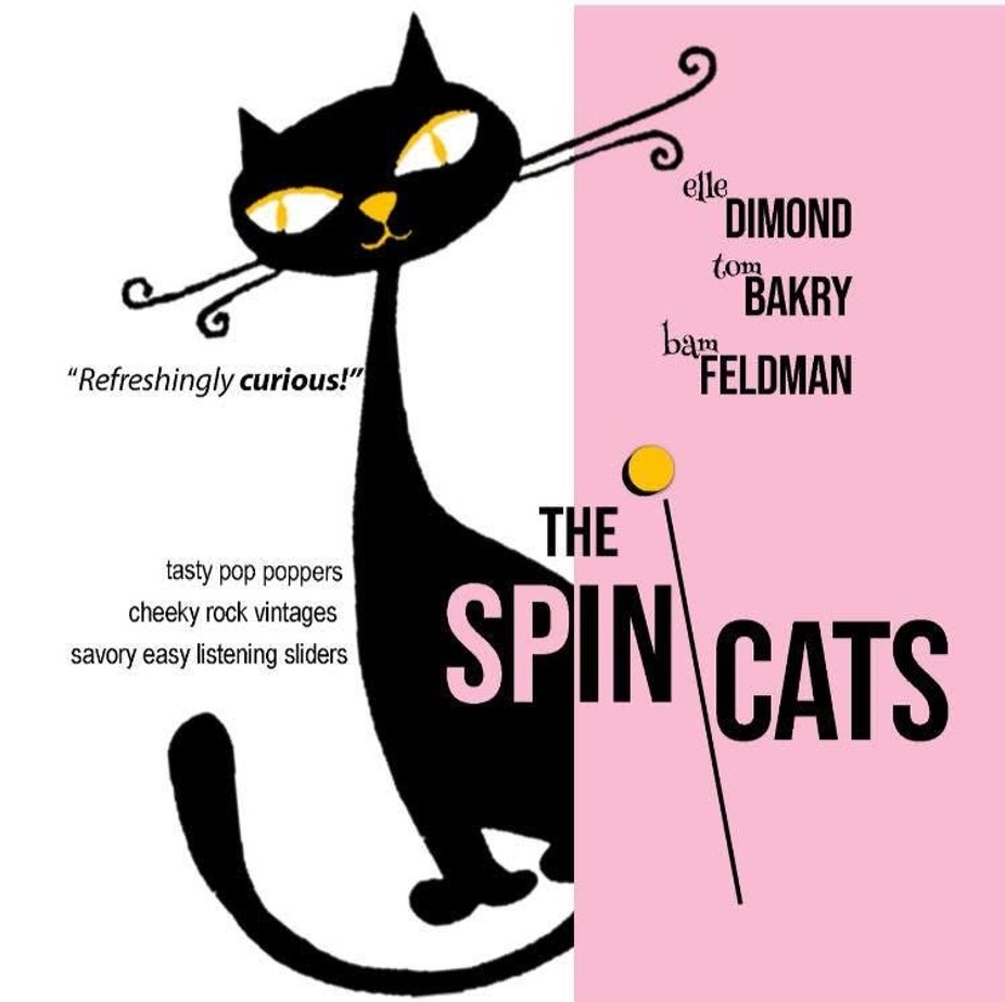 Spin Cats event photo