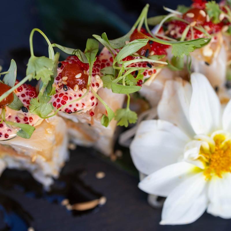 The Ultimate Hamachi photo