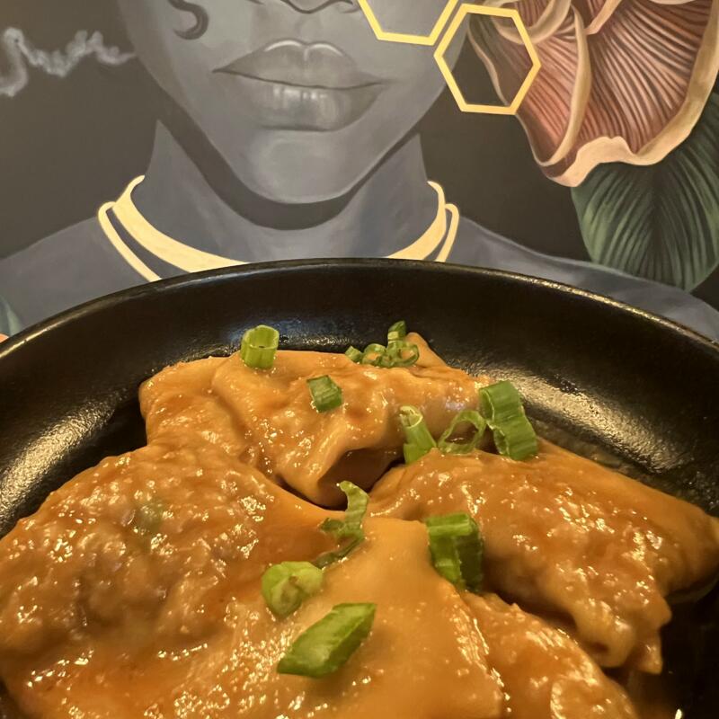 Spicy Tahini Dumplings (V) photo