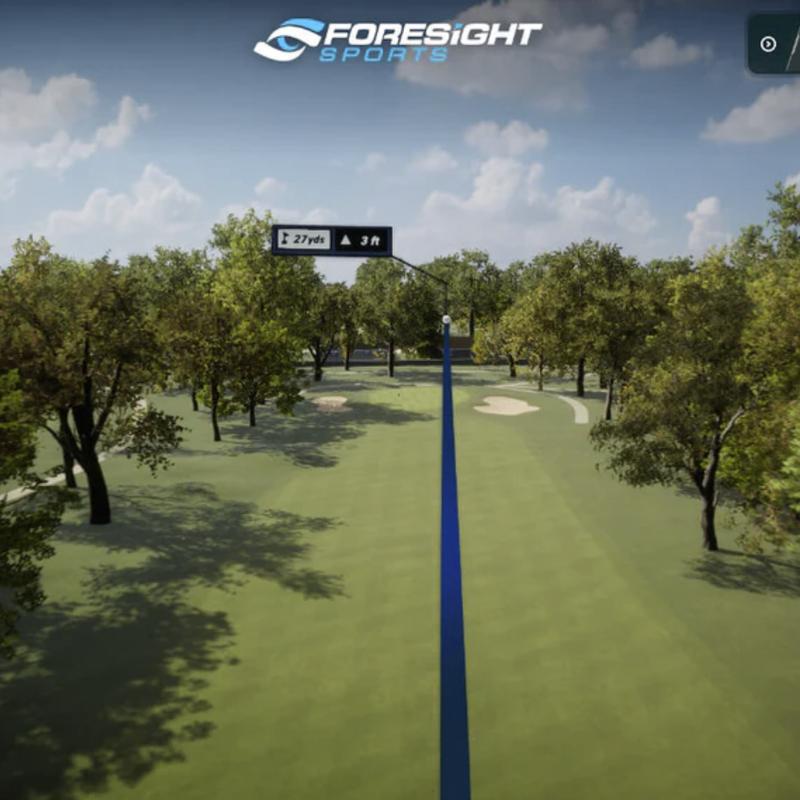 Virtual golf field