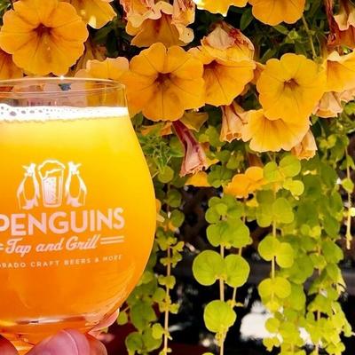 gallery photo number 3