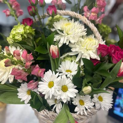 gallery photo number 5