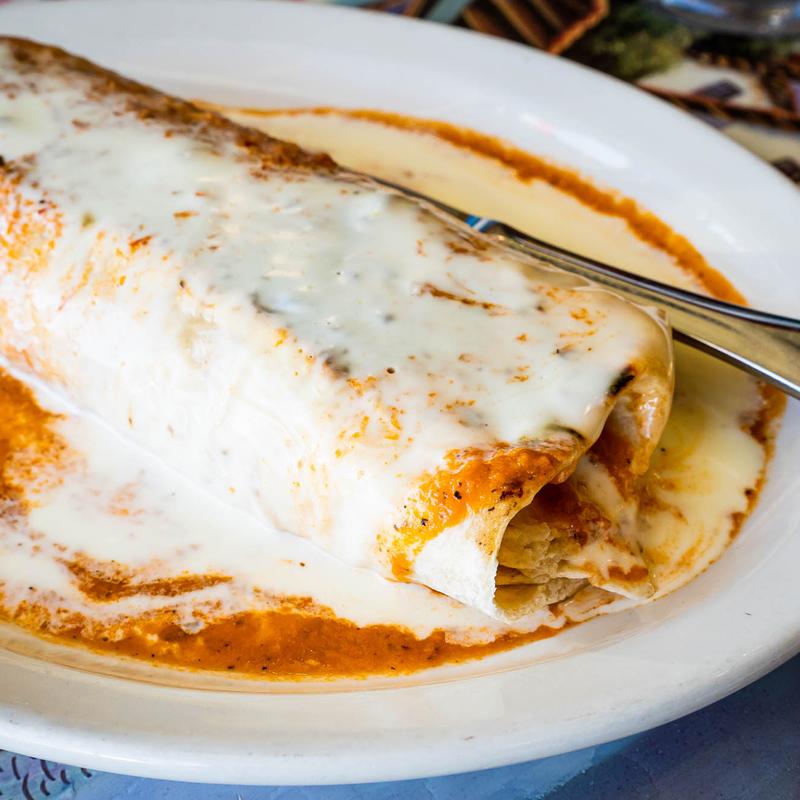 Burro Master Texas photo