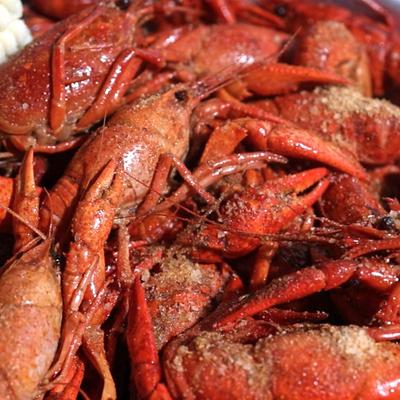 gallery photo number 98