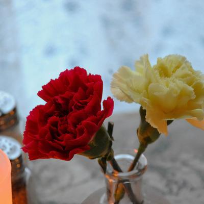 Interior, decoration, flowers