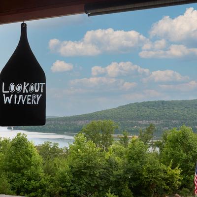 Scenic view of the Tennessee river from porch.