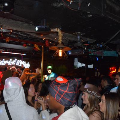 gallery photo number 399