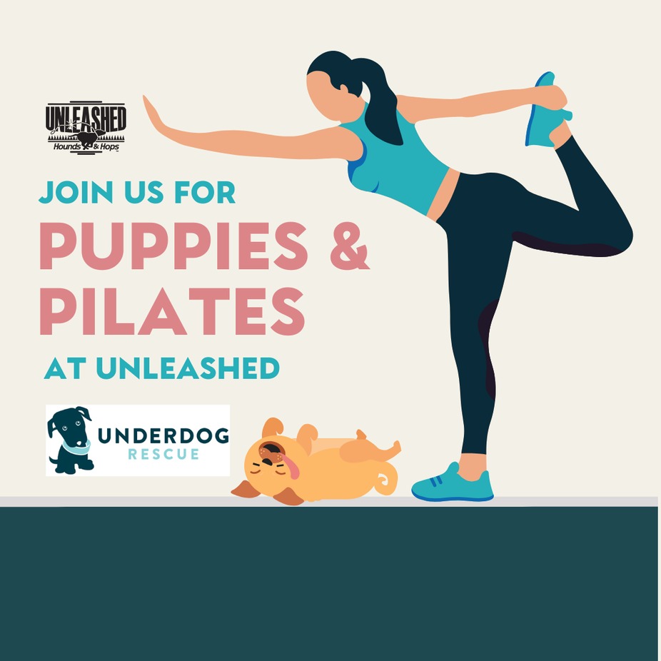 Puppies & Pilates with Underdog Rescue event photo