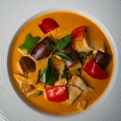 Red Curry, with coconut milk, bell peppers, bamboo shoot, eggplant, and basil.