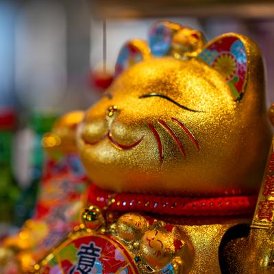 gallery photo number 54