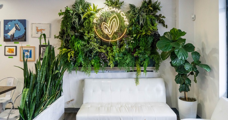 Interior decorated with plants, couch and coffee table