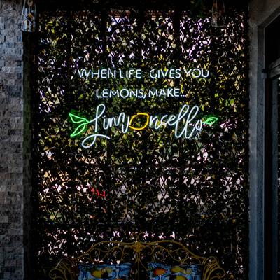 gallery photo number 25