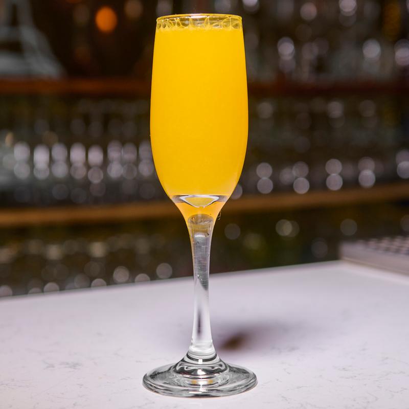 Mimosa photo