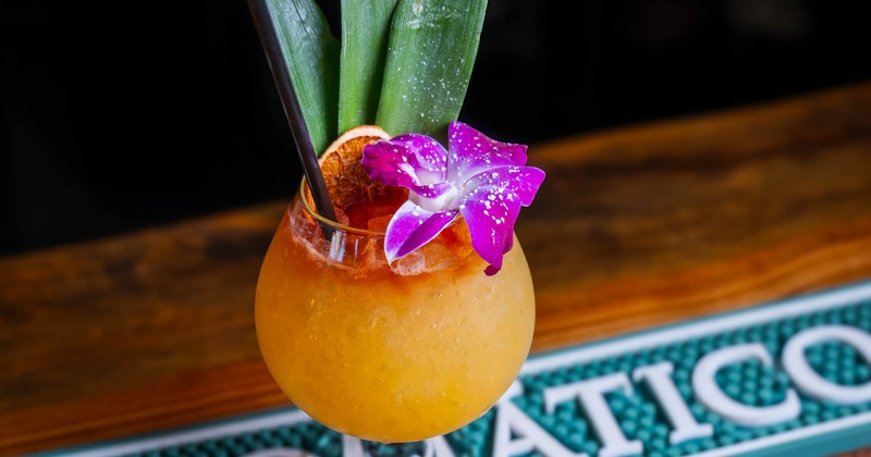 Orange cocktail garnished with purple flower, pineapple leaves, and dry citrus wheel