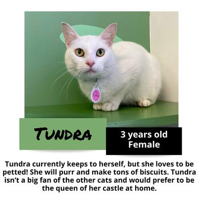 gallery photo number 8