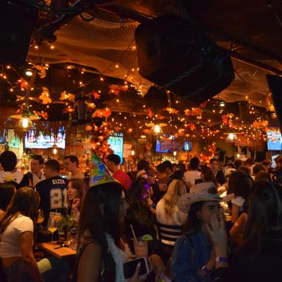 gallery photo number 420