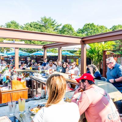 gallery photo number 16