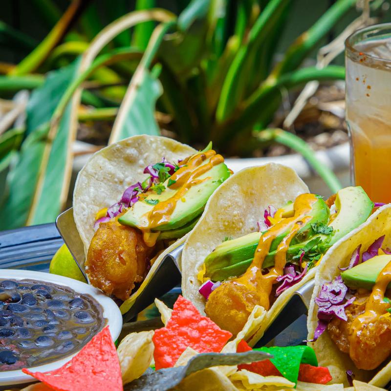 HBC Fish Tacos photo