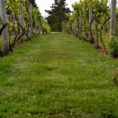 gallery photo number 50