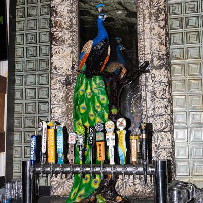 gallery photo number 28