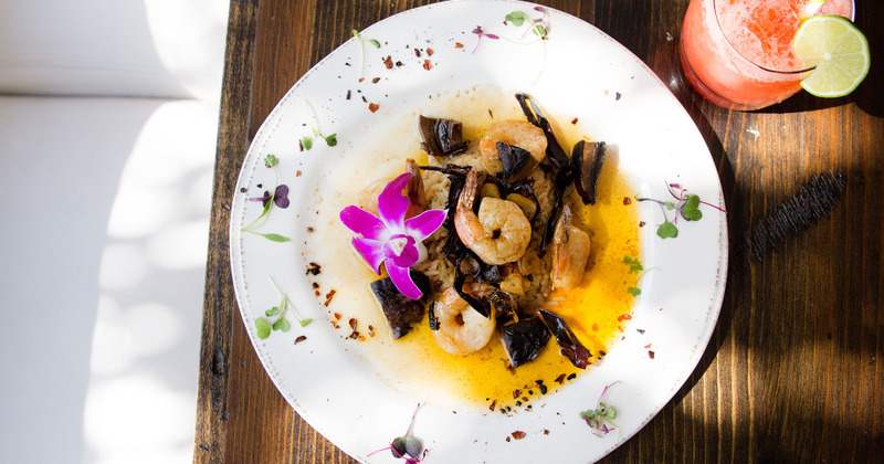 Shrimp dish, top view