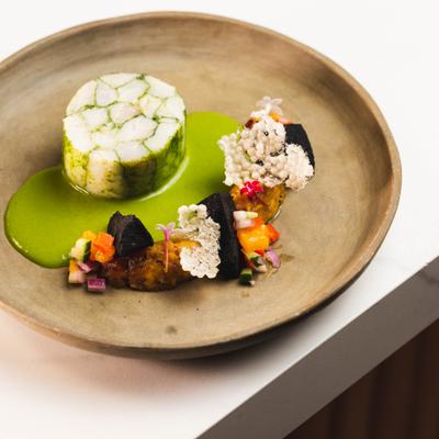 A beautifully plated dish featuring ceviche.