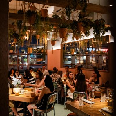 Guests at the restaurant.