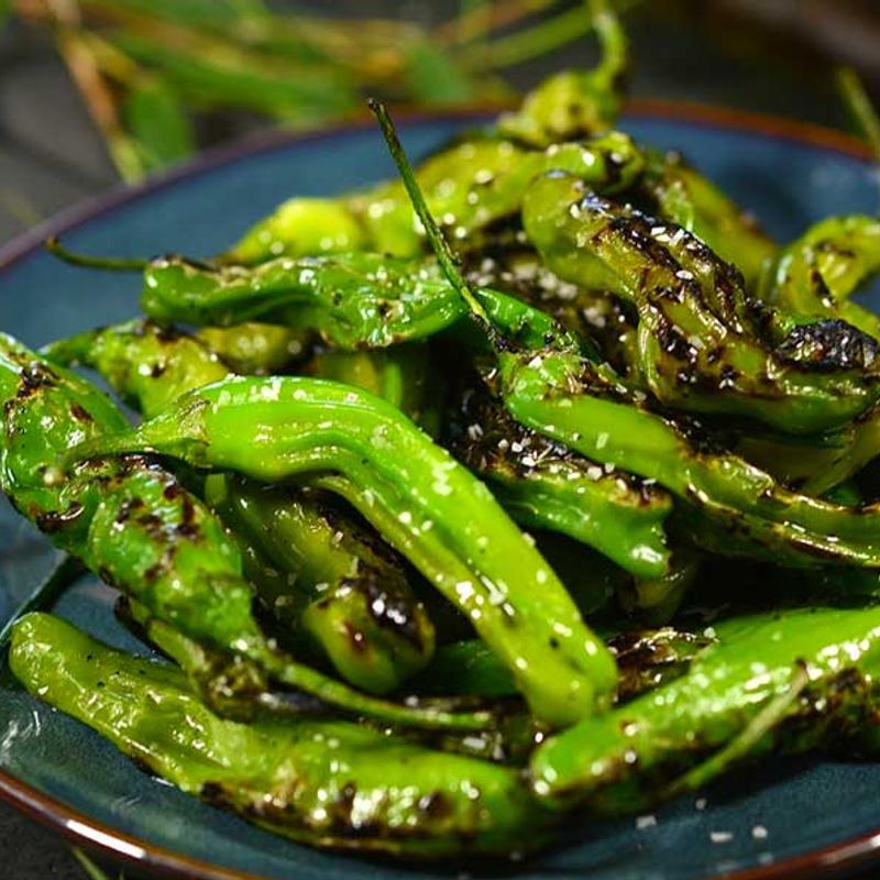 Shishito Peppers (V) photo