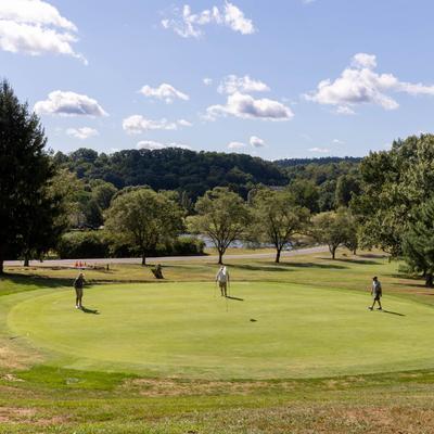 gallery photo number 5