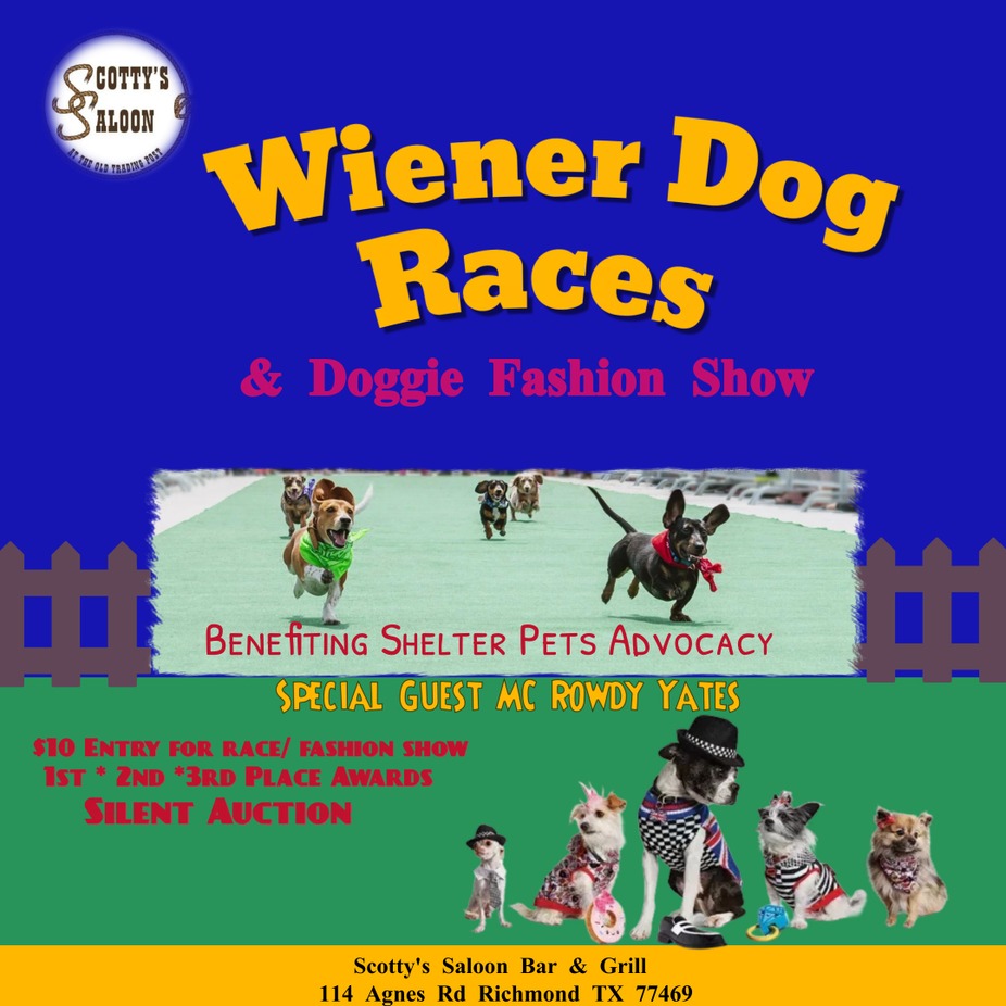 Wiener Dog races  & Doggie fashion Show event photo