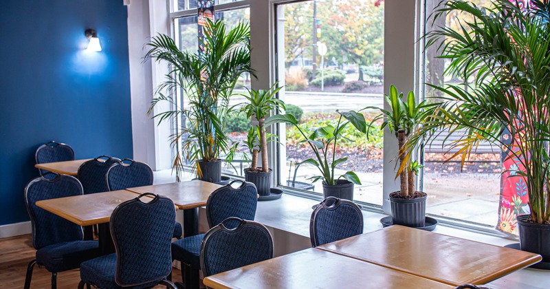 Bright dining room with wooden tables, potted plants, and large windows