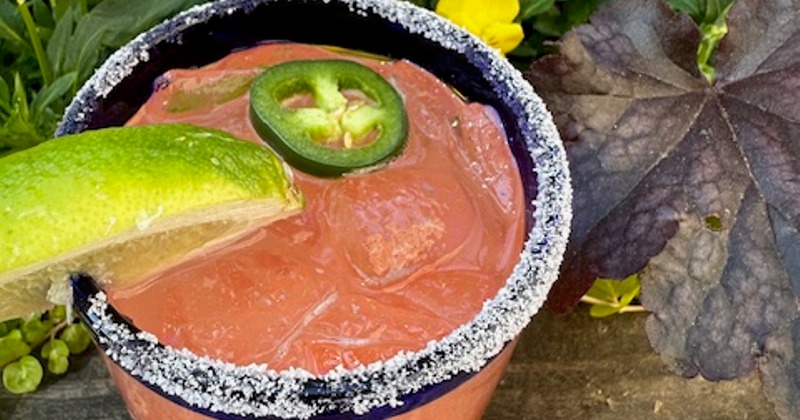 Fish fillets with vegetables and sauce topped with cilantro