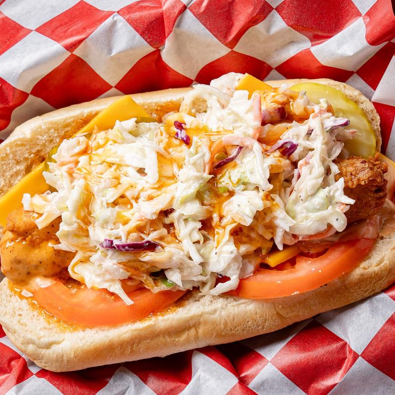 Backyard Bird Dog photo