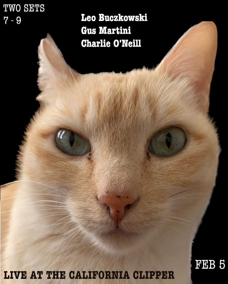 Live Jazz with Gus Martini & more event photo