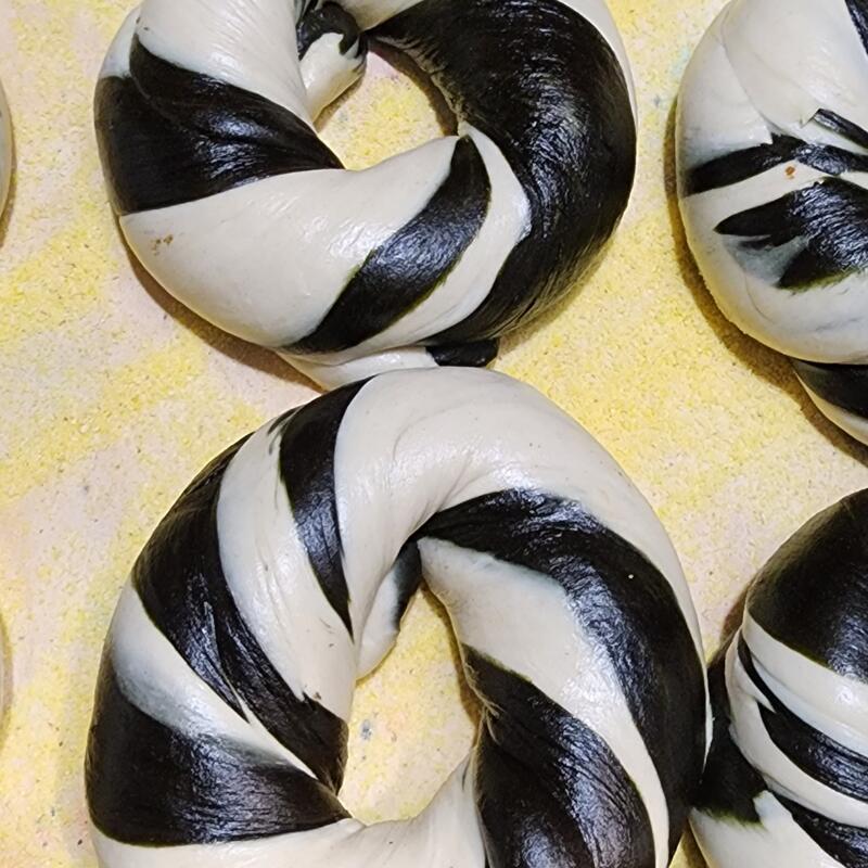 Black & White Bagel photo