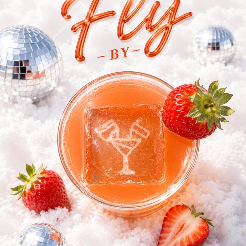FLY BY photo