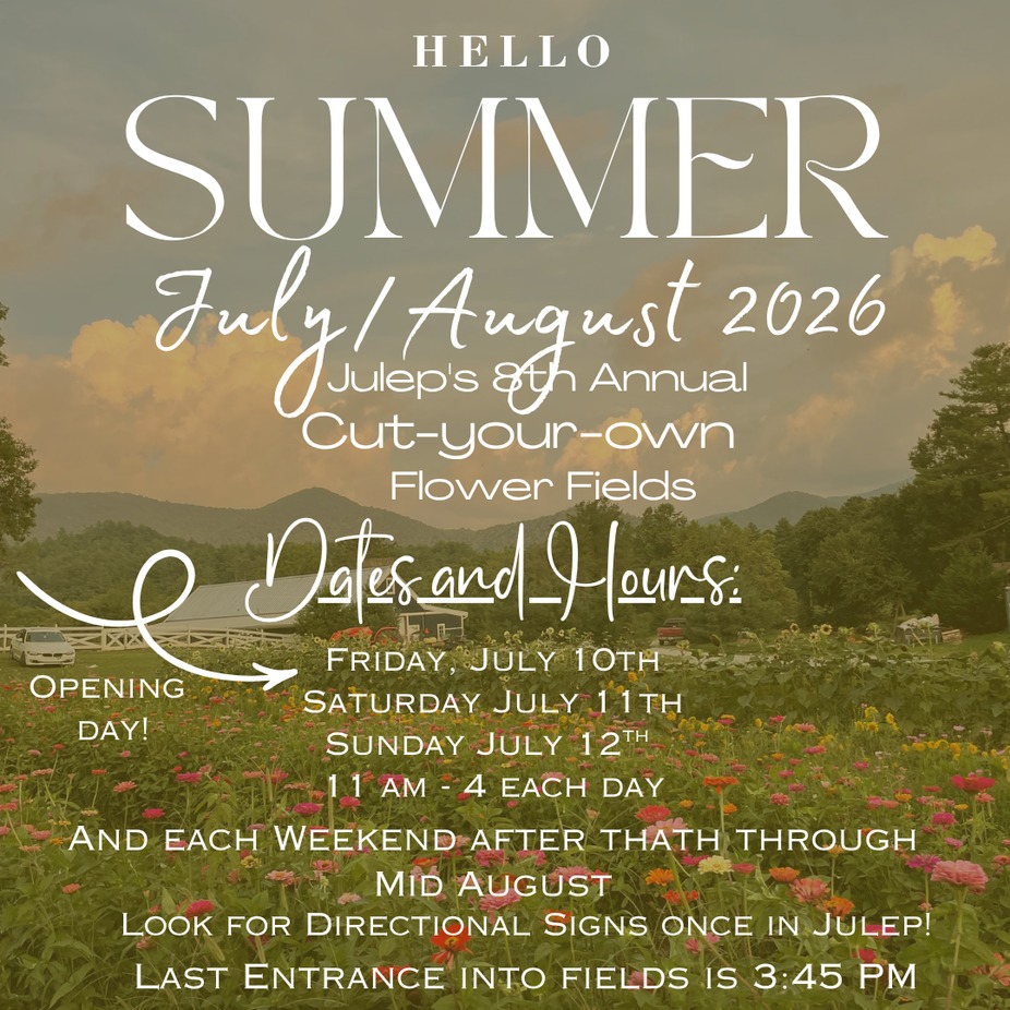 8th Annual Flower Fields- Starting Friday, July 10th! event photo
