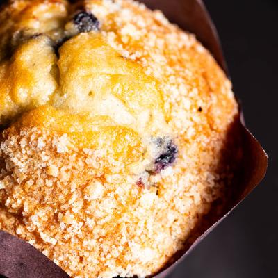 gallery photo number 11