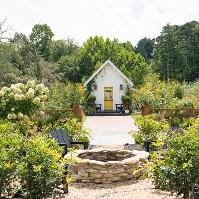 gallery photo number 4